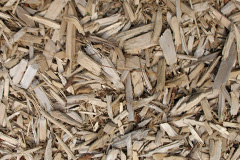biomass boilers Skerries